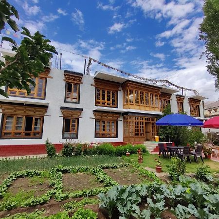 Jig Gyas Guest House Leh Buitenkant foto